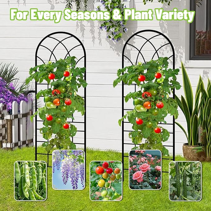 Garden Trellis for Climbing Plants, 3 Pack 38" Wx 64.6" H Rustproof Flower Trellis with Black Coating, Outdoor Climbing Rose Trellis Cucumbers Support for Courtyards Lawns (Square Grid, 3 Pieces)