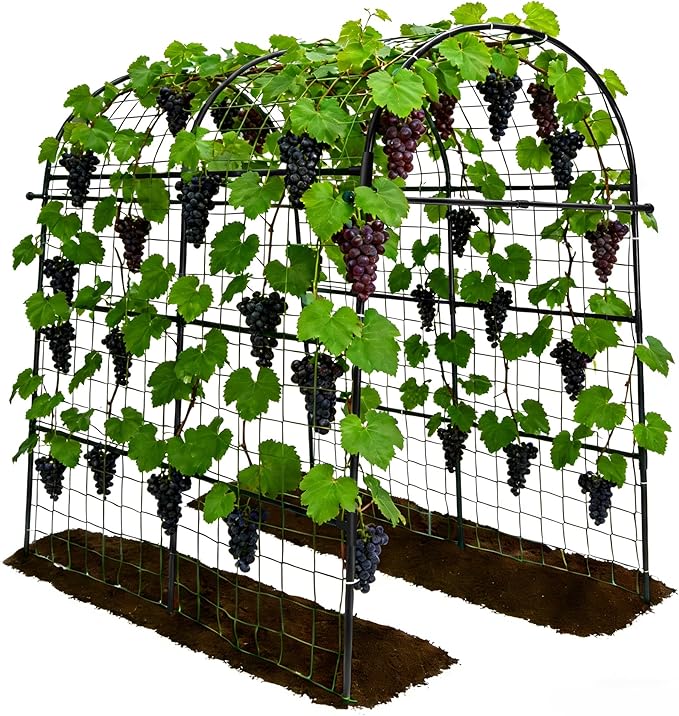 Garden Arch Trellis for Climbing Plants Outdoor - 83" H*71" W*43" L Large Rustproof Garden Trellis, Heavy Duty Grape Trellis, Tunnel Trellis for Melons, Pumpkins, Cucumbers, Peas(Black)