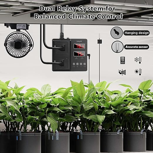 bayite Temperature Controller 1650W 15A BTC211 Dual Digital Outlet Thermostat Plug, Pre-Wired, 2 Stage Heating and Cooling Mode, 110V - 240V, Fermentation BBQ Reptile Aquarium