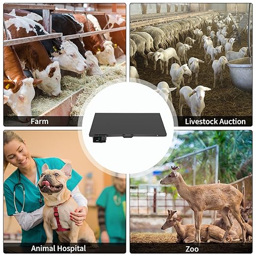 TUFFIOM 1100Lbs x 0.2Lbs Postal Digital Shipping Livestock Scale, Electronic Stainless Steel Platform Heavy Duty Vet Animal Floor Scale,Dog Puppy Pig Goat Sheep Scale, Black