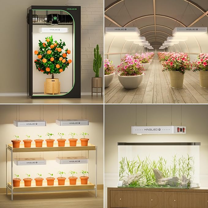 KingLED KP1000 LED Grow Light for Indoor Plants, Full Spectrum Plant Light with Veg & Bloom Mode, 100W Growing Lamp for Seed Starting Seedlings Vegetable Hydroponic Greenhouse, 2x2/2x3 Grow Tent
