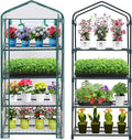 Purlyu Mini Greenhouse for Indoor Outdoor, Plant Green House 4-Tier Rack Stand Portable Greenhouses with Durable PVC Cover for Seedling, 2.5x1.6x5.2 FT,Ideal Gardening Gifts for Women Men(PLGH704P)