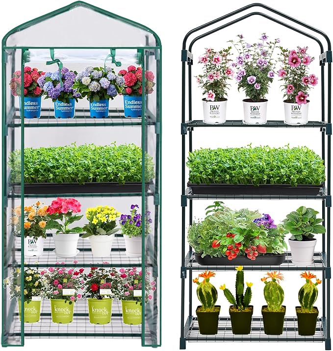 Purlyu Mini Greenhouse for Indoor Outdoor, Plant Green House 4-Tier Rack Stand Portable Greenhouses with Durable PVC Cover for Seedling, 2.5x1.6x5.2 FT,Ideal Gardening Gifts for Women Men(PLGH704P)