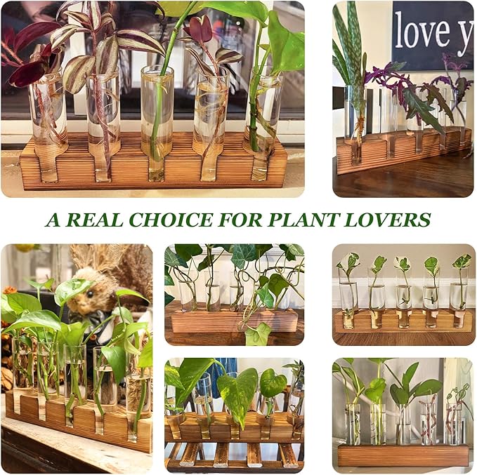Renmxj Plant Propagation Station, Plant Terrarium with Wooden Stand, Plants Pots for Hydroponics, Small Birthday Gardening Gifts for Women Mom Plants Lovers Unique - 5 Glass Test Tubes Vases