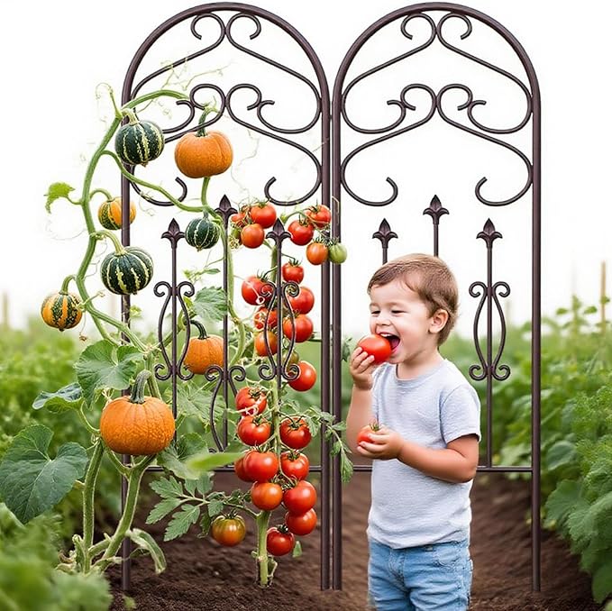 AMAGABELI GARDEN & HOME 4 Pack Large Garden Trellis for Climbing Plants Outdoor 60” x 18” Iron Plant Trellis for Potted Plant Support Tall Wall Metal Trellis Rose Vine Cucumber Brown