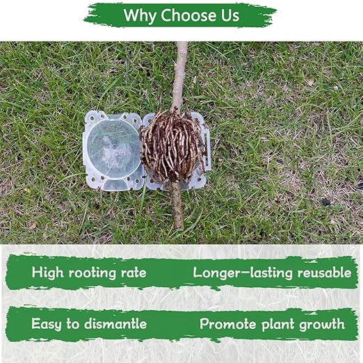 Supking 8 Pcs Air Layering Pods Plant Rooting Grow Propagation Ball Small Transparent Assisted Cutting Rooting Grafting Device Root Box for Plants
