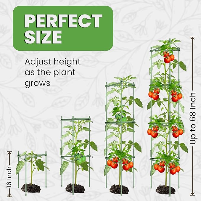 K-Brands Tomato Cage - Tomatoes Plant Stakes Support Cages, Trellis for Garden & Pots, Plant Support Structures for Vegetables and Climbing Plants (6 Pack - Tall Upto 68 inches)