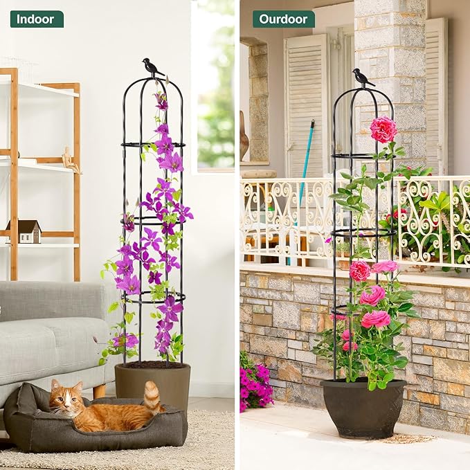 FOLLOOK Garden Obelisk Trellis for Climbing Plants Outdoor, Lightweight Climbing Plant Support Flower Roses Clematis Vegetable Light Vines Round Trellis for Raised Garden Bed Planter, Black, 2 Pack