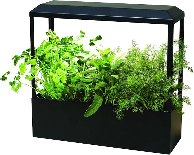 Modern Sprout Smart Growhouse LED Grow Light for Indoor Plants - Plant Grow Light Indoor Gardening System & Herb Garden Kit w/Smart App - Decor Countertop Planter, Gift for Mother's Day - Matte Black