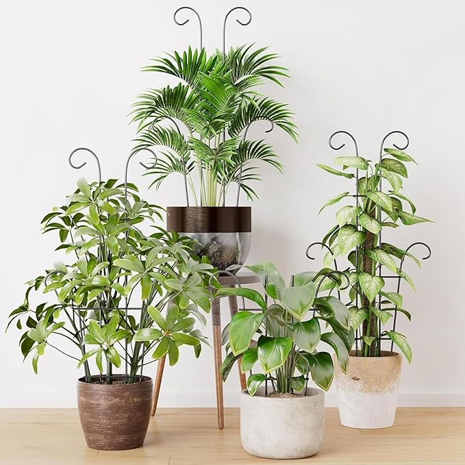 Plant Stakes - Adjustable Metal Trellis, Garden Plant Support, Vertical Stem Holder | Rust-Proof Monstera Ivy Cucumber Bean Flower Pot Trellis for Indoor Outdoor Planter Vegetable Fruit Gardening