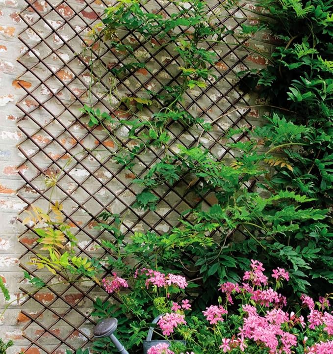 Expandable Garden Trellis Plant Support Willow Lattice Fence Panel for Climbing Plants Vine Ivy Rose Cucumbers Clematis