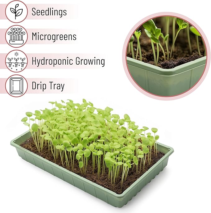 Mr. Pen- Seed Starter Trays, 10 Pack, 17"x10"x2.4", Durable Plastic Growing Trays, Stackable and Reusable Seedling Starter Kits for Indoor, Outdoor, Greenhouse Gardening, Planting, Hydroponic Systems