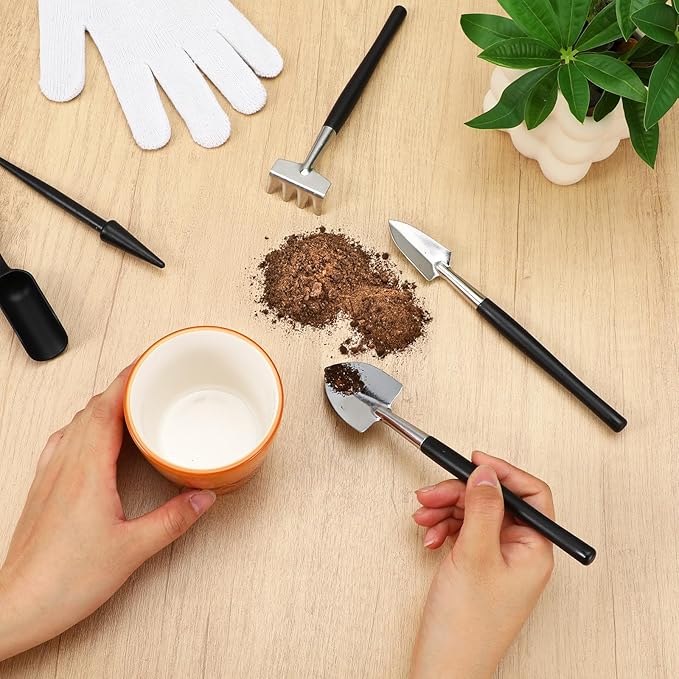 ElevateTech 12 Pcs Succulent Tools Mini Transplanting Garden Tool Set Succulent Care kit Plant Accessories for Indoor Gardening Flower Potting Cactus Houseplant Bonsai Care