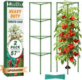 ZeeDix [Upgraded] 2 Pack Heavy Duty Tomato Cages for Garden, 57 Inch Foldable Plant Support Stakes for Heavy Climbing Plants, Adjustable Tomato Trellis for Pots Indoor & Raised Garden Bed Outdoor