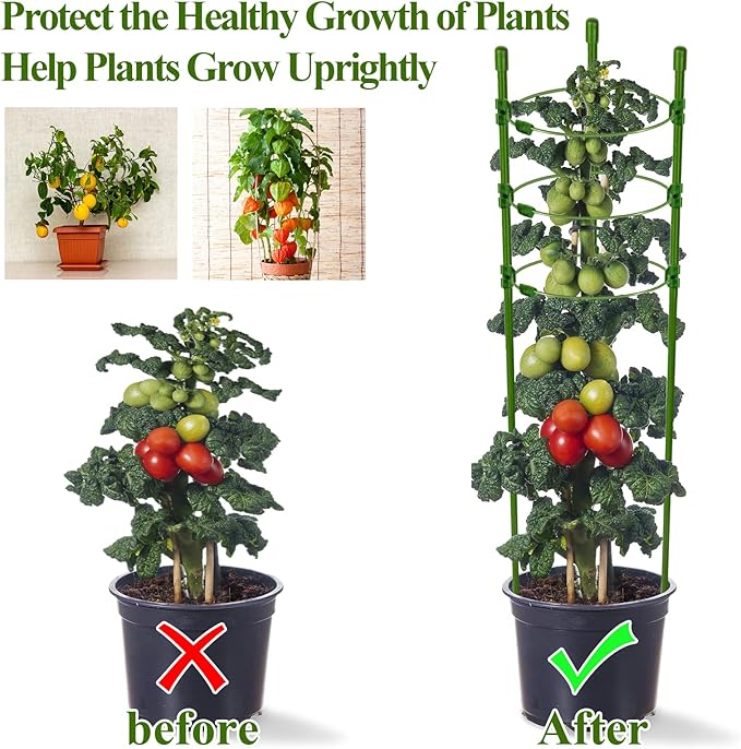Legigo 4 Packs 30inch Plant Support Cages with 3 Adjustable Support Rings- Small Tomato Cage for Pots Plant Holder for Home Garden Balcony for Orchids, Tomato, Vegetables, Flowers, Climbing Plants