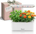 Nouri Hydroponics Growing System, 7 pod Smart Indoor Herb Garden Kit with LED Grow Lights, Hydroponic Herb Garden Indoor for Plant Lovers, Gardeners, Kitchen, Basil Seeds Included