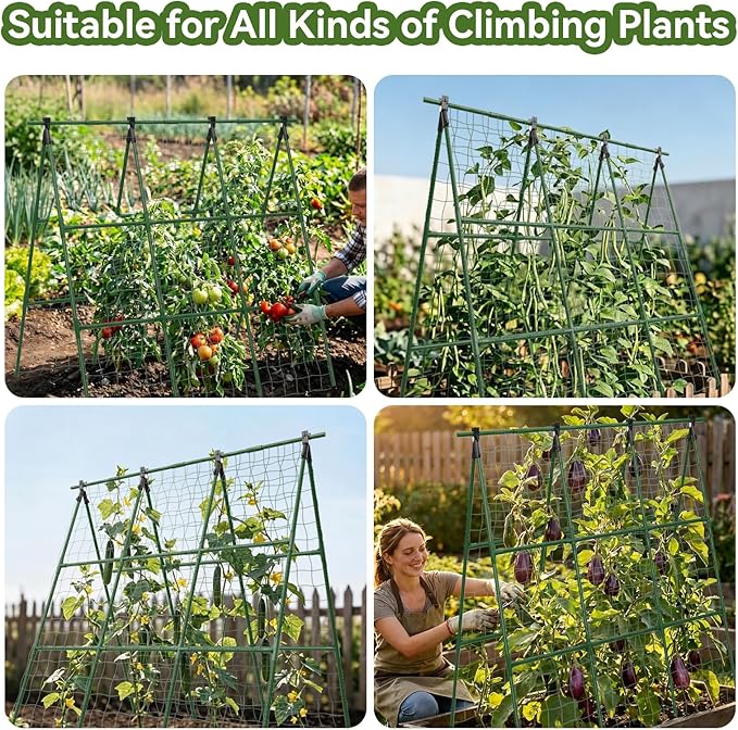 2 Pack Cucumber Trellis, 49.6"×49.6" Garden Trellis for Climbing Plants Outdoor, A-Frame Vegetable Trellis for Raised Bed, Support for Tomatoes, Squash, Zucchini, Vegetables