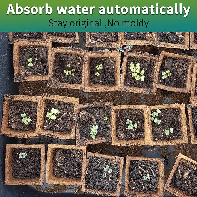 TCBWFY 640Cells Seedling Start Trays,40 Pack Peat Pots Seedling Pots Biodegradable,Seedling Starter Kit,Organic Germination Plant Starter Trays