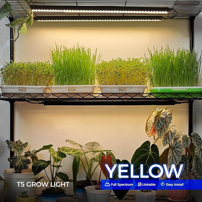 Barrina T5 Grow Lights, Plant Light for Indoor Growing, 2FT 80W (8 x 10W) Full Spectrum LED Grow Light, Black Cover Grow Light Strips with Switch, Magnetic Installation, Yellow, 8 Packs