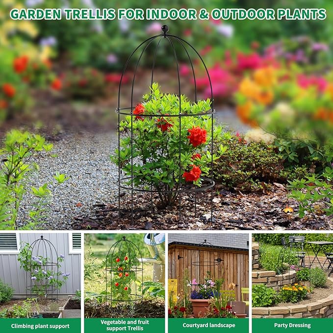 3 Pack Metal Plant Cage Support, 31.5" H Peony Support Tomato Cage Garden Rose Obelisk Trellis Supports Tower for Clematis Vine Jasmine Supports Outdoor Indoor