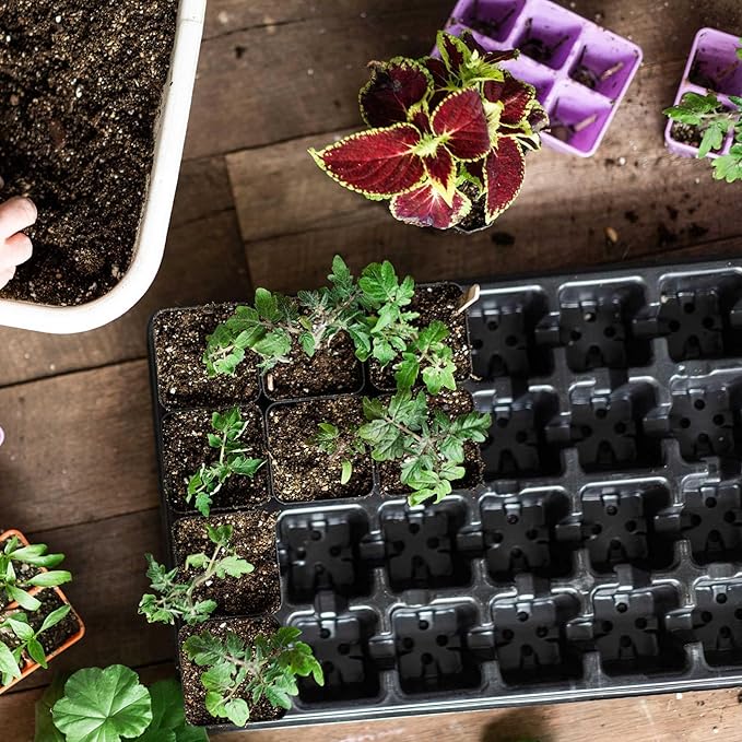 Bootstrap Farmer Extra Strength 32 Cell Seedling Starter Trays w/Inserts, 5 Pack, for Seed Germination, Plant Propagation, Growing Trays, Planting Starter
