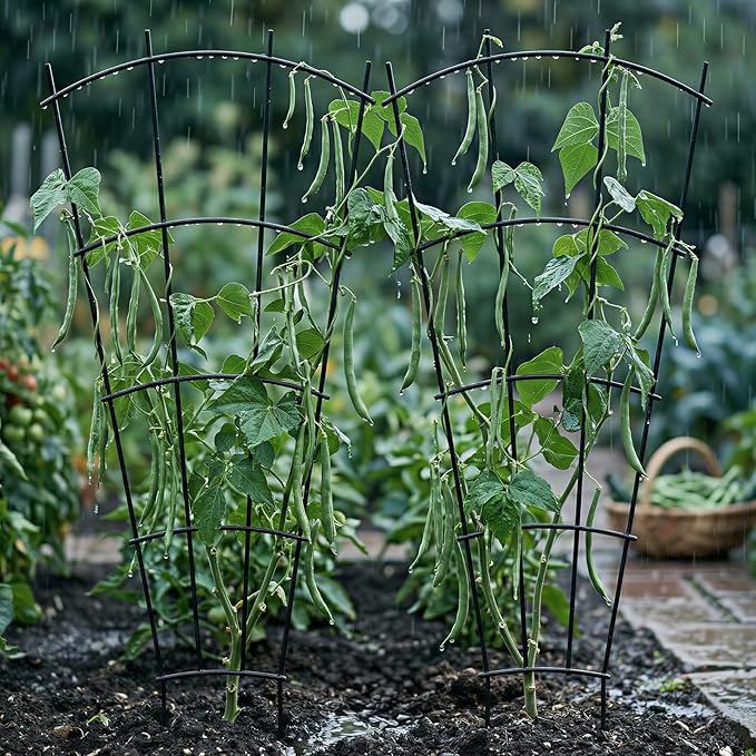 Thealyn 4 Pack 43" Metal Plant Trellis for Pots & Garden Beds, Rustproof Support for Indoor Outdoor Climbing Plants, Vines, Flowers, Fan Shaped, Black