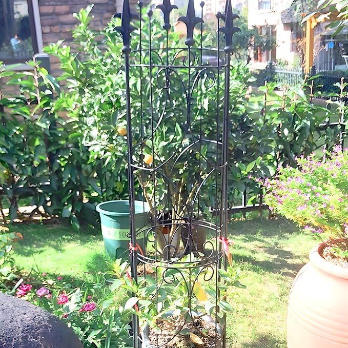 Thealyn Garden Trellis 2 Pack 72'' H x 12'' W Metal Plant Trellis Indoor/Outdoor Metal Garden Trellis Plant Trellis for Potted Plants Climbing Houseplants Flowers