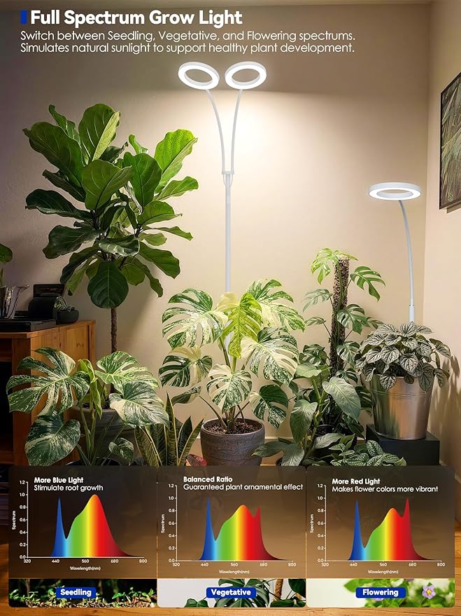 GLOWRIUM Grow Lights for Indoor Plants, Full Spectrum LED Grow Light Floor Lamp with Stand Adjustable Height and Angle, Black Plant Light with 3/9/12H Grow Light Timer (White, 20W)