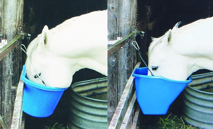 Little Giant® Plastic Better Bucket | Horse Feed Bucket | Ergonomically Designed | Flat Back Bucket | Made in USA | 20 Quarts | Blue