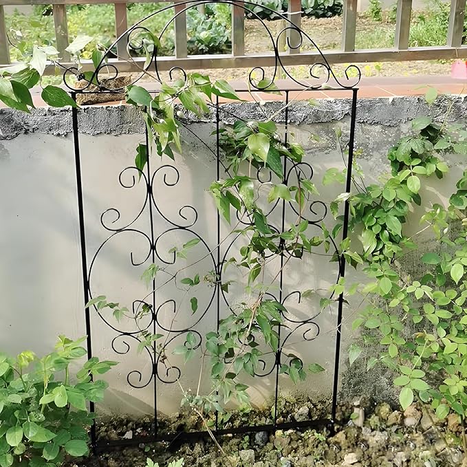 Thealyn Garden Trellis 2 Pack 80 Inch.H x 22 Inch.W Heavy-Duty Climbing Plant Trellis Metal Plant Supports Suitable Supporting Climbing Plants Outdoor, Roses, Vegetables, Vines, Flowers
