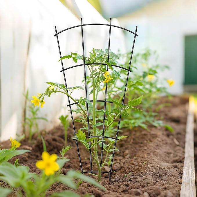 Thealyn 4 Pack 43" Metal Plant Trellis for Pots & Garden Beds, Rustproof Support for Indoor Outdoor Climbing Plants, Vines, Flowers, Fan Shaped, Black