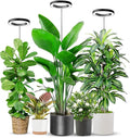 Aokrean 6.3in Grow Light, 80LED Growing Light Full Spectrum for Indoor Plants, Auto Timer 6/12/16H, 3 Optional Spectrums, Height Adjustable 10"-65", Idea for Large Plant, 5V, Black, 3 Pack