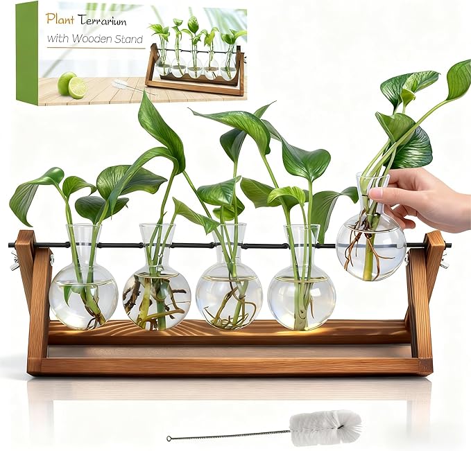 Renmxj Plant Propagation Station, Propagation Vases for Plants, Unique Gardening Birthday Gifts for Women Plant Lovers Mom Best Friend - 5 Bulb Glass Vases