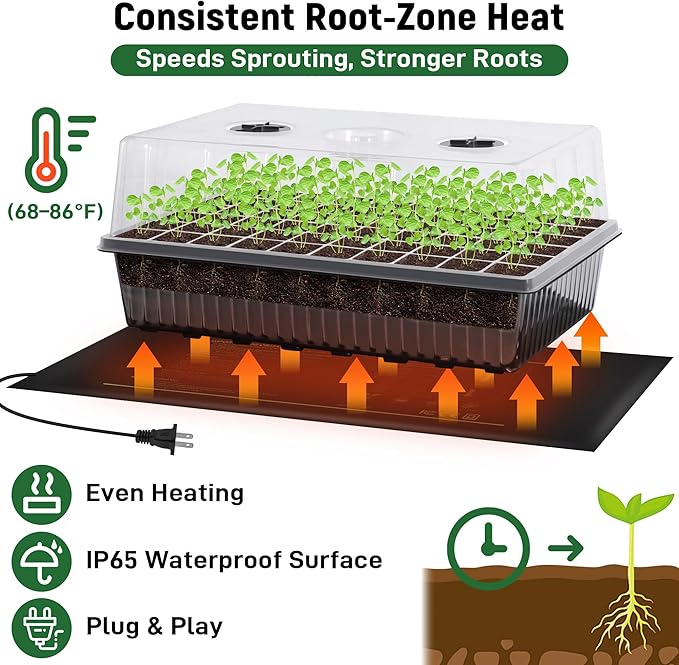 DazSpirit 60-Cell Self-Watering Seed Starter Kit with Grow Light and Heat Mat, Seedling Tray with Humidity Dome, Indoor Plant Germination Tray for Beginners - Grow Tomatoes, Peppers, Herbs & Flowers