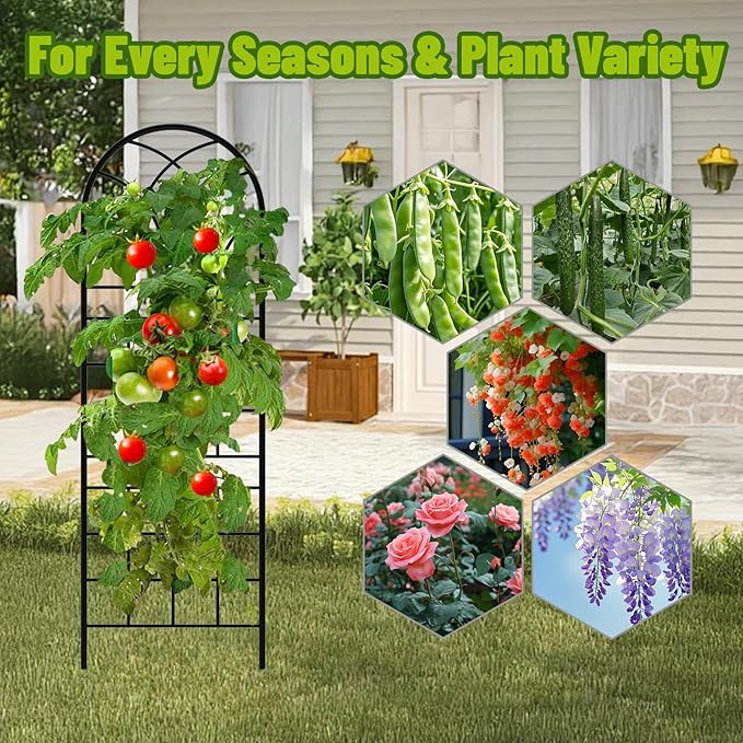 Garden Trellis for Climbing Plants, 6 Pack 75.6" Wx 64.6" H Rustproof Flower Trellis with Black Coating, Outdoor Climbing Rose Trellis Cucumbers Support for Courtyards Lawns (Square Grid, 6 Pieces)