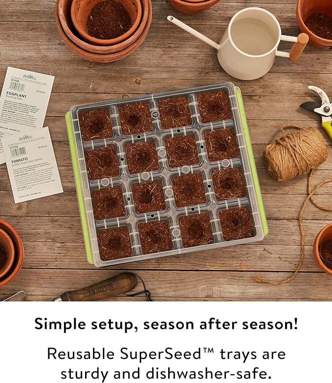 Burpee SuperSeed Starting Tray | 16 XL Cell | Reusable & Dishwasher Safe | for Vegetable, Flower & Herb Seeds | Indoor Grow Kit for Deep-Rooted Seedlings, Green