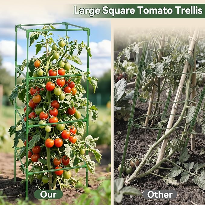 Halatool 2 Pack 60in Square Tomato Cages for Garden, Heavy Duty Adjustable Metal Tomato Trellis for Climbing Plants – Green Plant Support Stakes for Vegetables Flowers Fruits & Raised Bed Outdoor