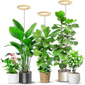 Aokrean 6.3in Plant Lights for Indoor Growing, Full Spectrum Faux Wood Grain Grow Light, 80 LED Growing Lamp with Height Adjustable 10"-65", 6/12/16H Timer, 3 Optional Spectrums, 5 Brightness, 3 Pack