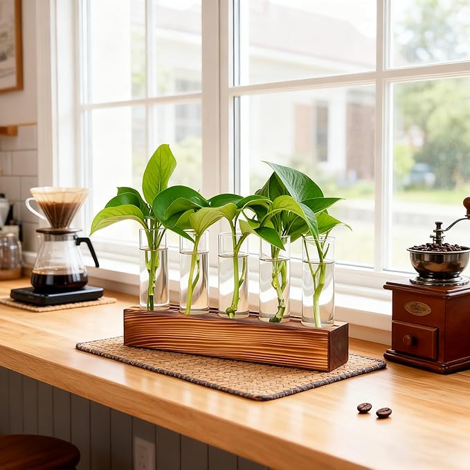Renmxj Plant Propagation Station, Plant Terrarium with Wooden Stand, Plants Pots for Hydroponics, Small Birthday Gardening Gifts for Women Mom Plants Lovers Unique - 5 Glass Test Tubes Vases