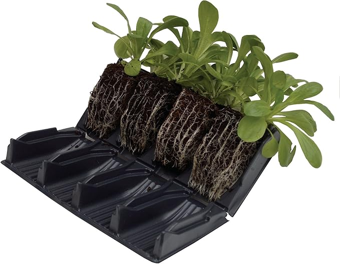 Tierra Garden 50-9010 Haxnicks Rapid Rootrainers Seed and Cutting Propagation Kit