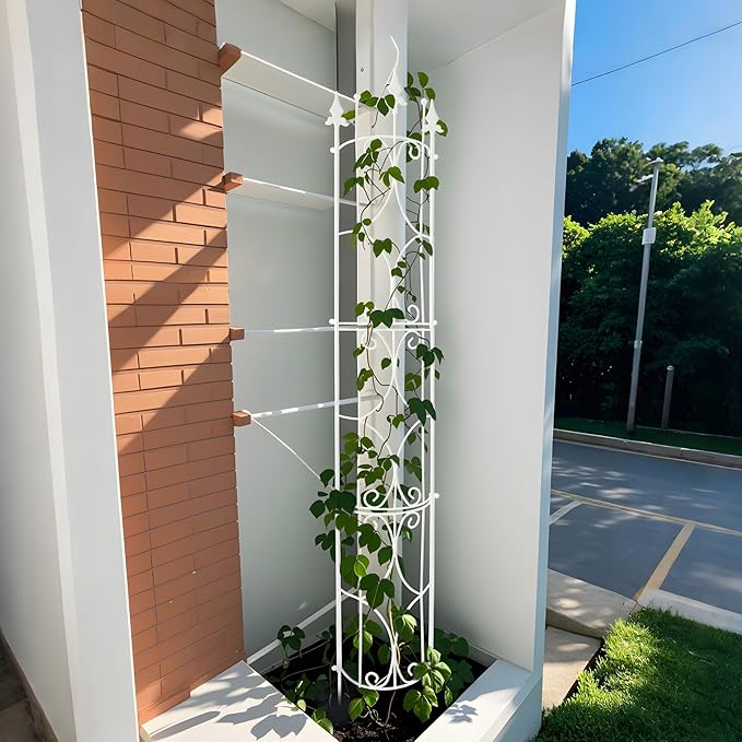 Thealyn Garden Trellis 2 Pack 72'' H x 12'' W Metal Plant Trellis Indoor/Outdoor Metal Garden Trellis Plant Trellis for Potted Plants Climbing Houseplants Flowers