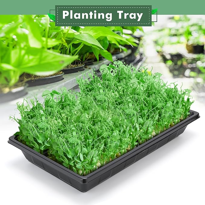 Sckee Upgraded 20 Pack Plant Growing Trays Seed Starting Tray Microgreens Growing Trays Seedling Plant Germination Starter Tray Transplant Fodder Flats, No Holes, No Leakage, Reusable (1017)