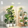 SDOVUERC Full Spectrum Grow Light with Stand for Indoor Plants, Floor Plant Light, 6/12/18H Timer, 3 Color Modes, Adjustable Height 16.5–67in, for Large Plants & Home Décor(2 Heads White)