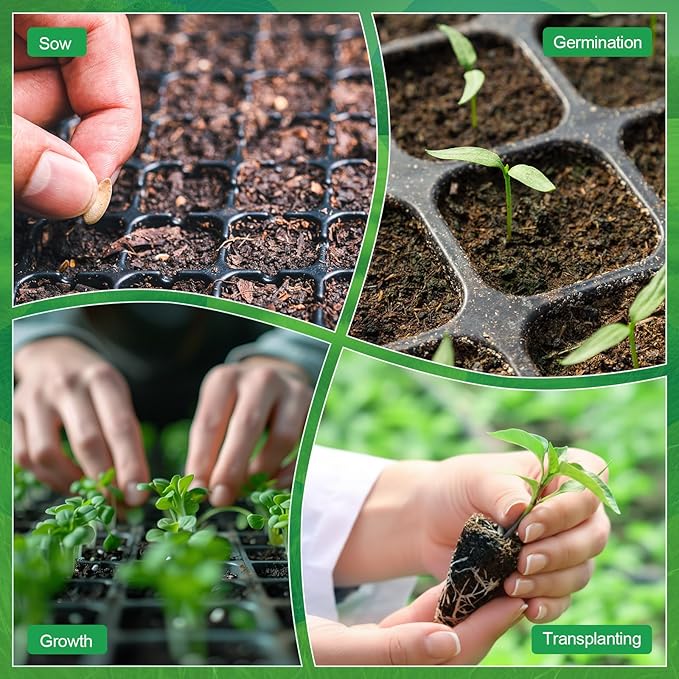Vesici 60 Pack Seed Starter Trays and 72-Cell Plug Trays Sturdy Plastic Seedling Nursery Bundle for Microgreens, 1020 Tray Germination, Plant Propagation and Seed Starting & Transplanting