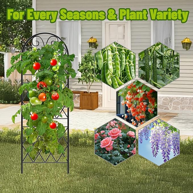 Garden Trellis for Climbing Plants, 6 Pack 75.6"Wx 64.6"H Rustproof Flower Trellis with Black Coating, Outdoor Climbing Rose Trellis Cucumbers Support for Courtyards Lawns (Diamond-shaped grid, 6 Pcs)