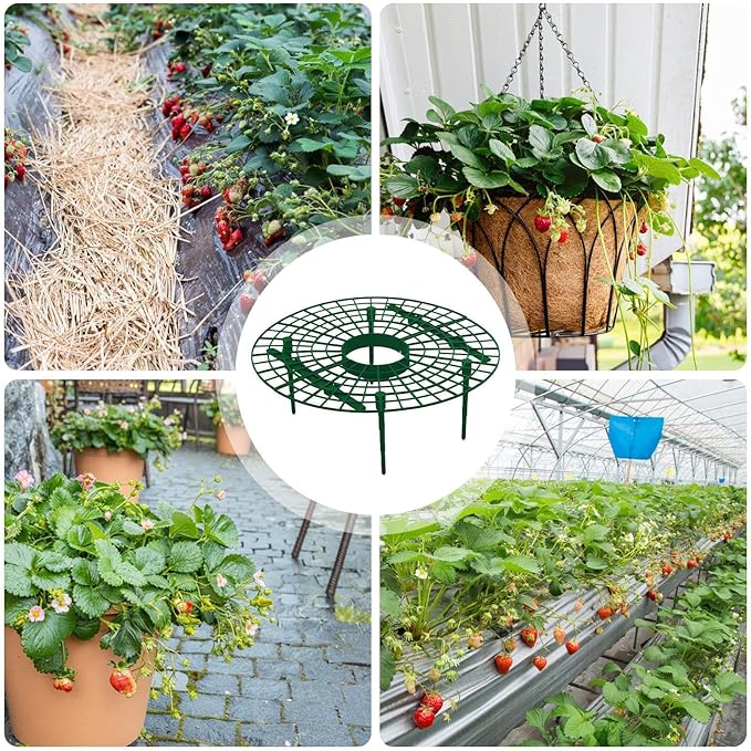 Garden Plant Trellis - Heavy-Duty Gardening Support Stand,Garden Support Strawberry Plant Tray Outdoor Patio Orchard Balcony Gardening Vegetable Flower Vine