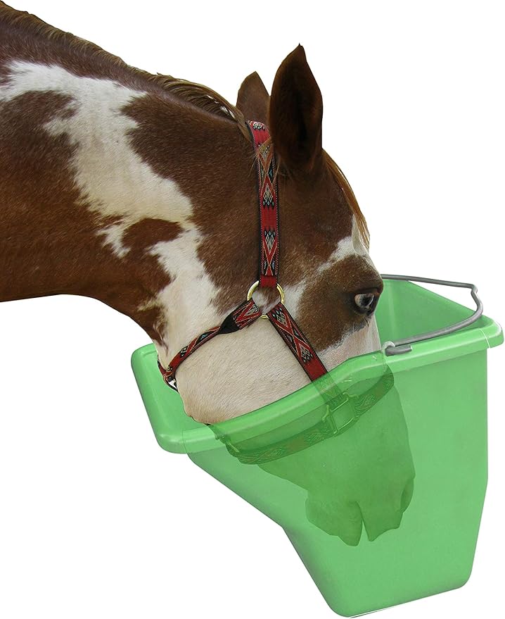 Little Giant® Plastic Better Bucket | Horse Feed Bucket | Ergonomically Designed | Flat Back Bucket | Made in USA | 20 Quarts | Green