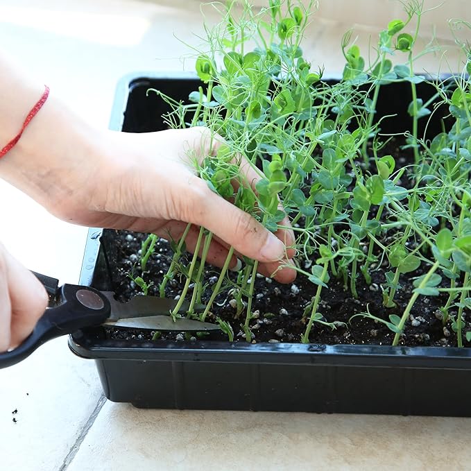 Mr. Pen- Seed Starter Trays, 5 Pack, 17"x10"x2.4", Durable Plastic Growing Trays, Stackable and Reusable Seedling Starter Kits for Indoor, Outdoor, Greenhouse Gardening, Planting, Hydroponic Systems