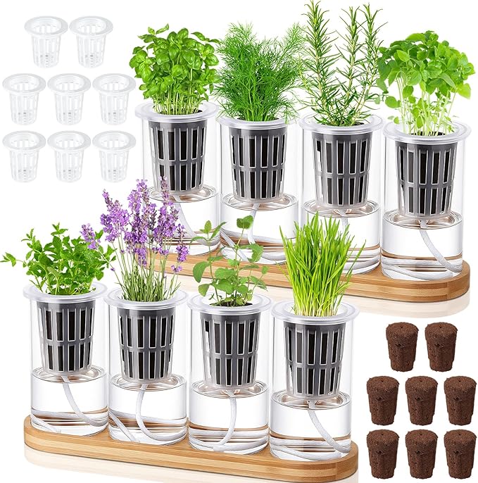 Teenyyou 8 Pcs Hydroponic Herb Planter Growing Kit Self Watering Glass Vase with Wooden Stand Herb Garden Starter Kit for Propagating Hydroponic Plants Centerpiece Office Home Garden Decor