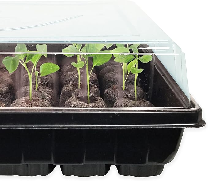 Ferry Morse Jiffy Seed Starting Greenhouse Tray Kit with 72 36mm Peat Pellets and Bonus SUPERthrive Sample + Plant Markers, 2 Pack, 144 Pellets Total